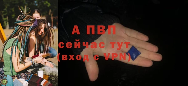стафф Богородицк