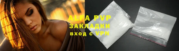 стафф Богданович
