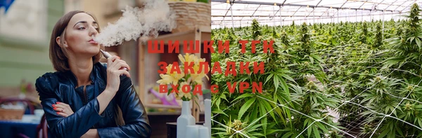 стафф Богородицк