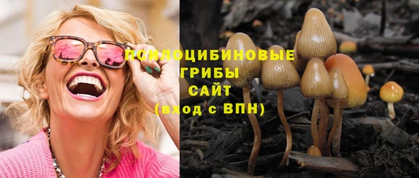 гашишное масло Богородск