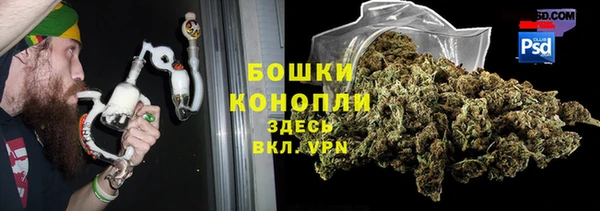 стафф Богородицк
