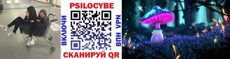 магазин продажи   Мариинский Посад  Галлюциногенные грибы GOLDEN TEACHER 